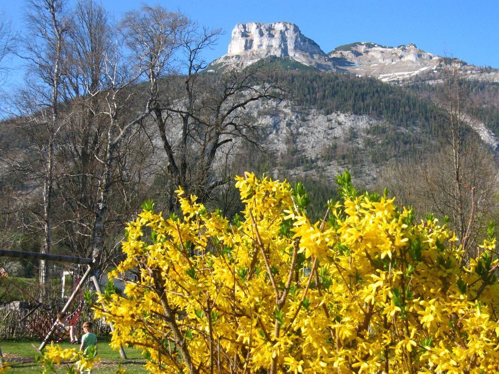 Apartment An Der Traun Bad Aussee Rom bilde